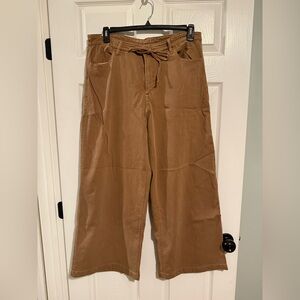 American Eagle Outfitters Brown Tie-Waist ultra wide leg Pants. 12 long.  NWOT
